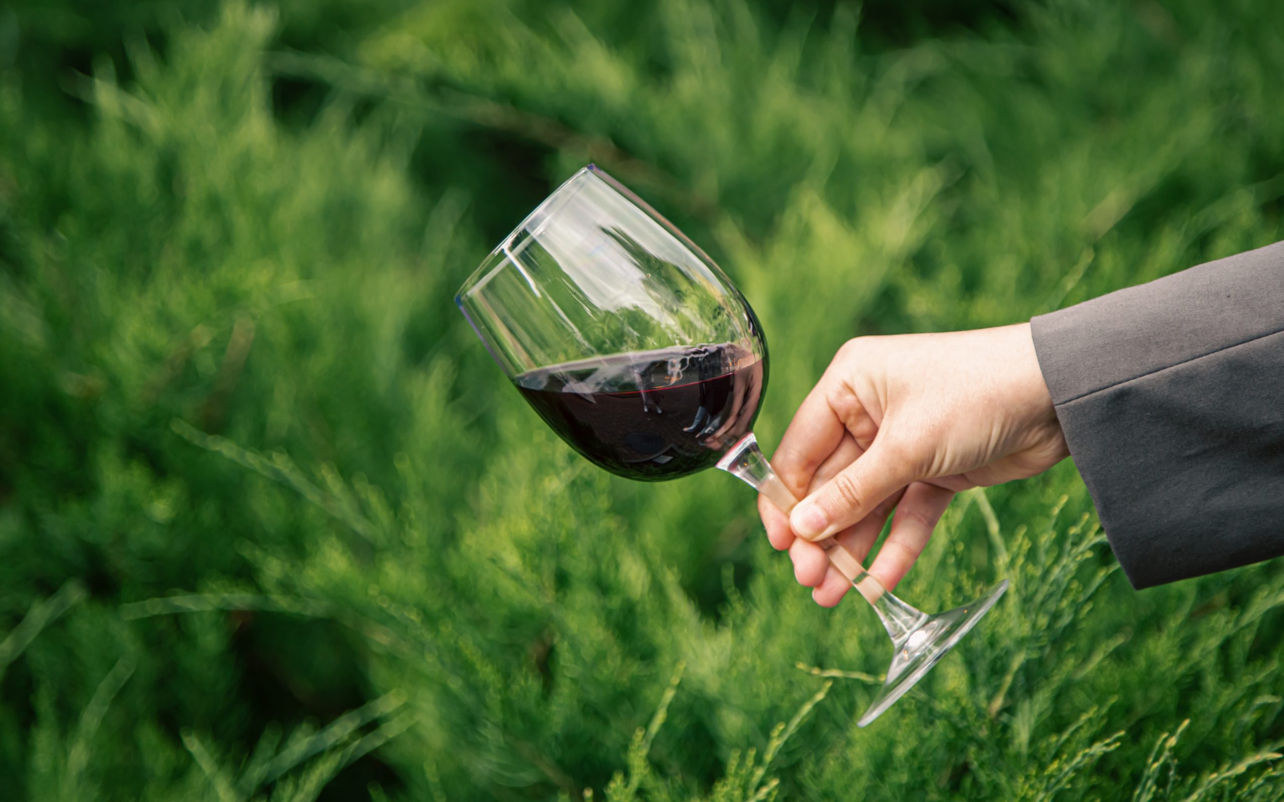 A glass of red wine against a green vineyard background