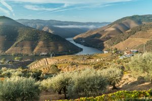 Autumn morning over the Douro river and Pinhão village, Portugal