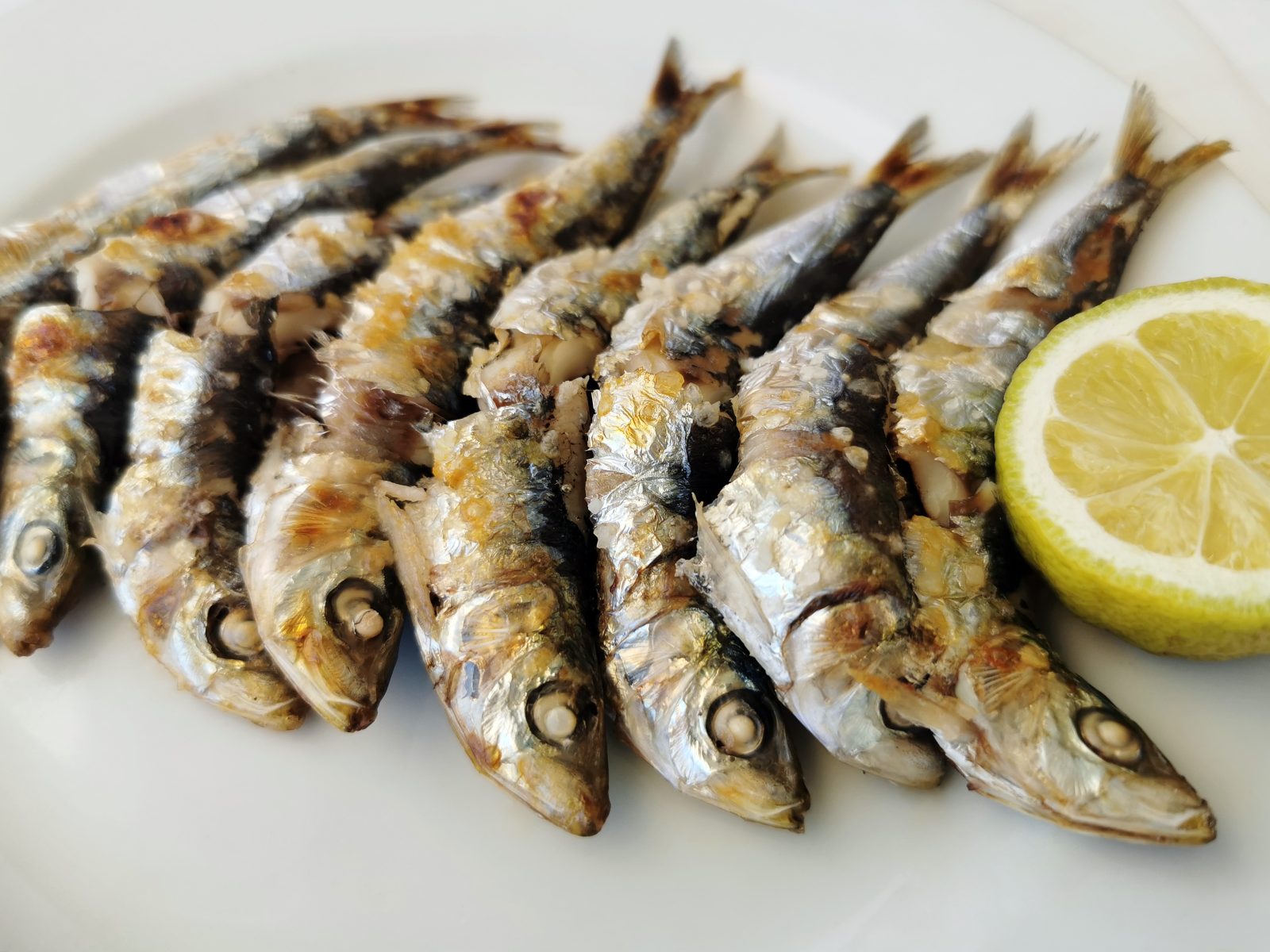 What to Eat in Lisbon: A Local Food Guide