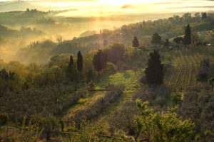 5 Days in Tuscany for Food & Wine: A Suggested Route