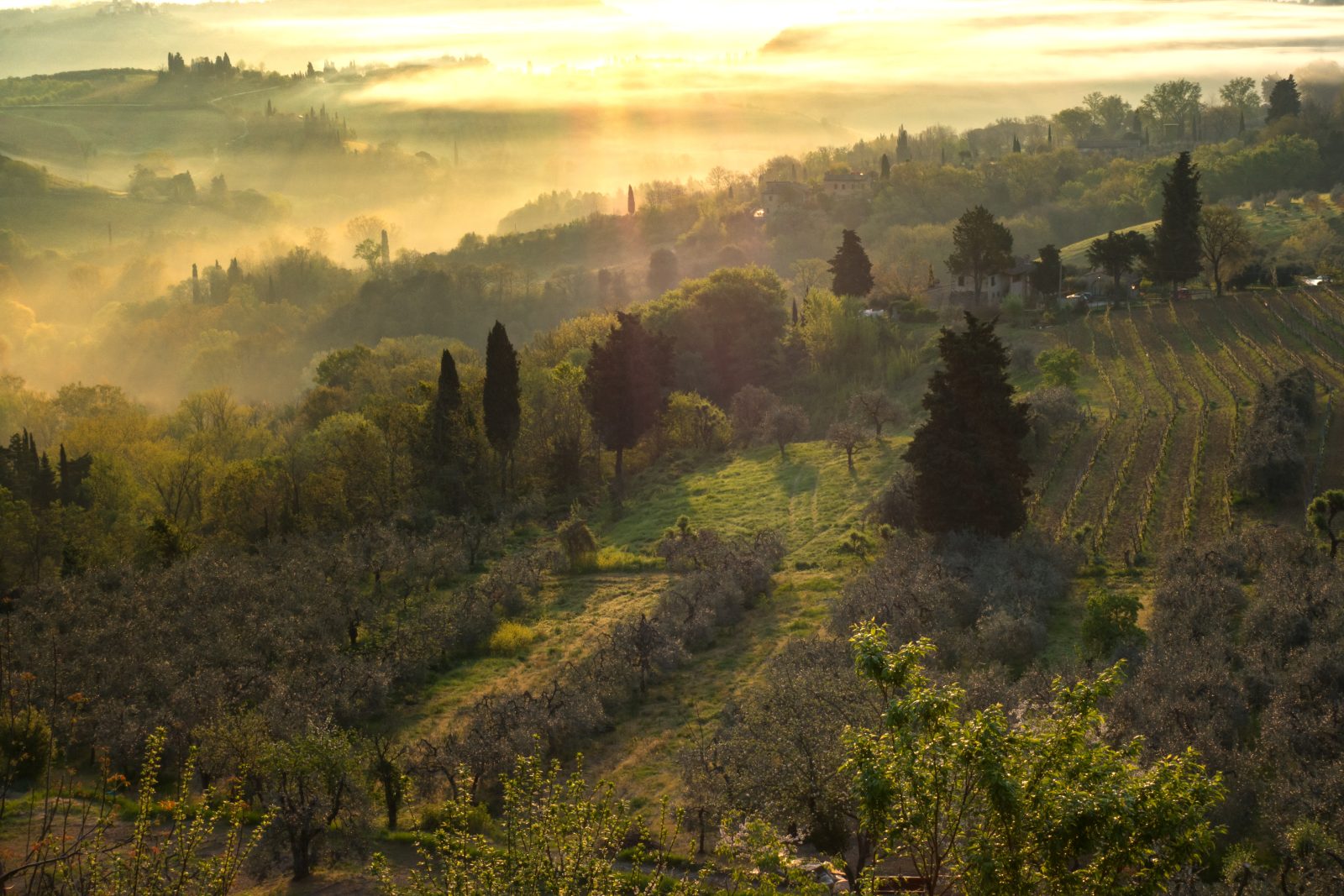 5 Days in Tuscany for Food & Wine: A Suggested Route