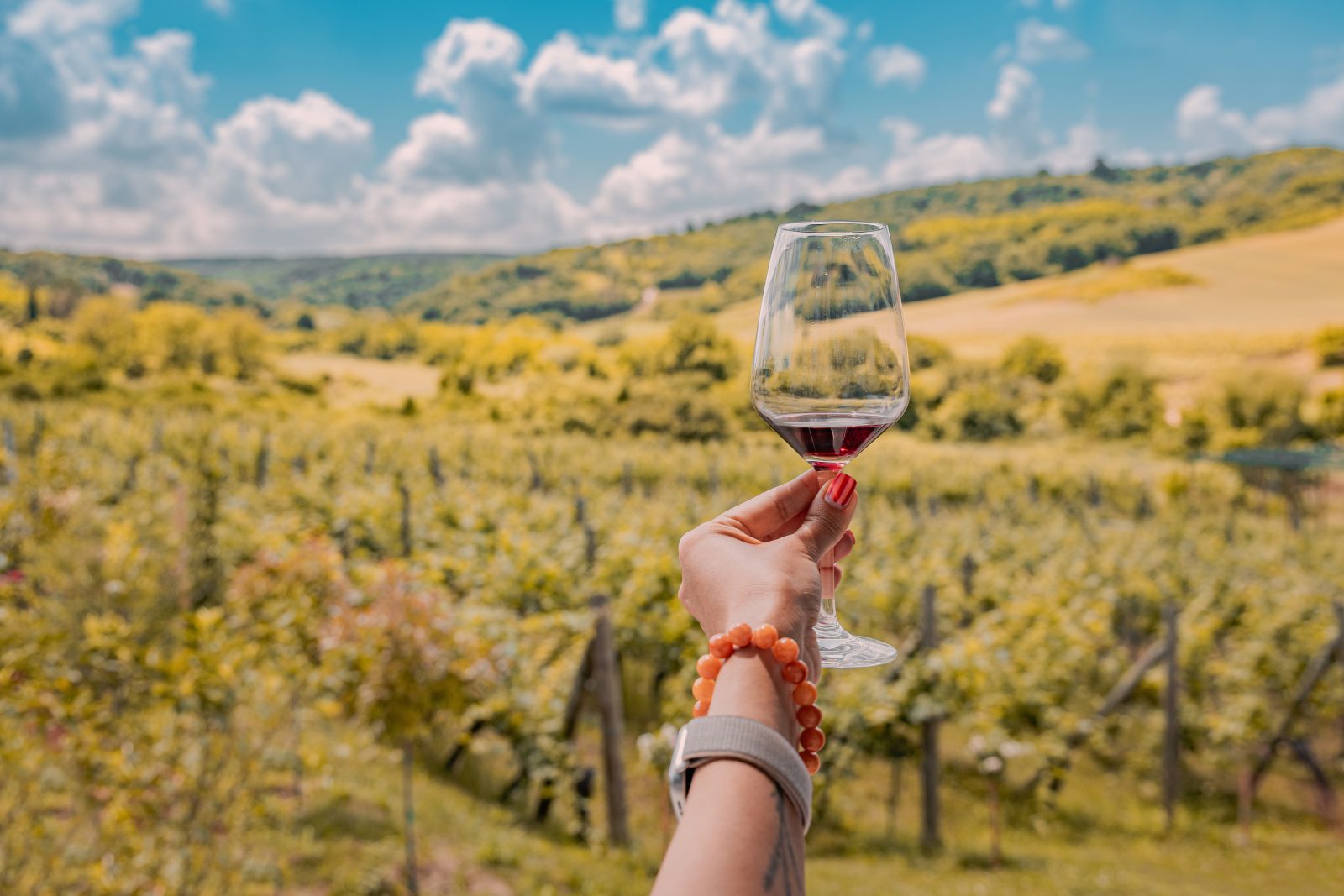 Cappadocia Wine Guide: Grapes, Cellars & Tastings