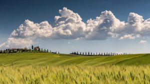 Val d’Orcia Wine Tasting: Brunello, Vino Nobile & Pienza
