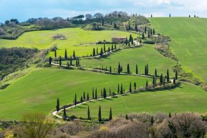 A Tuscan Wine Route: Chianti, Montalcino & Montepulciano