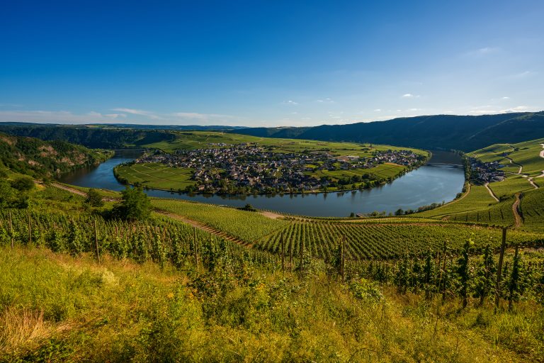 The Moselle river loop and vineyards in spring, Germany