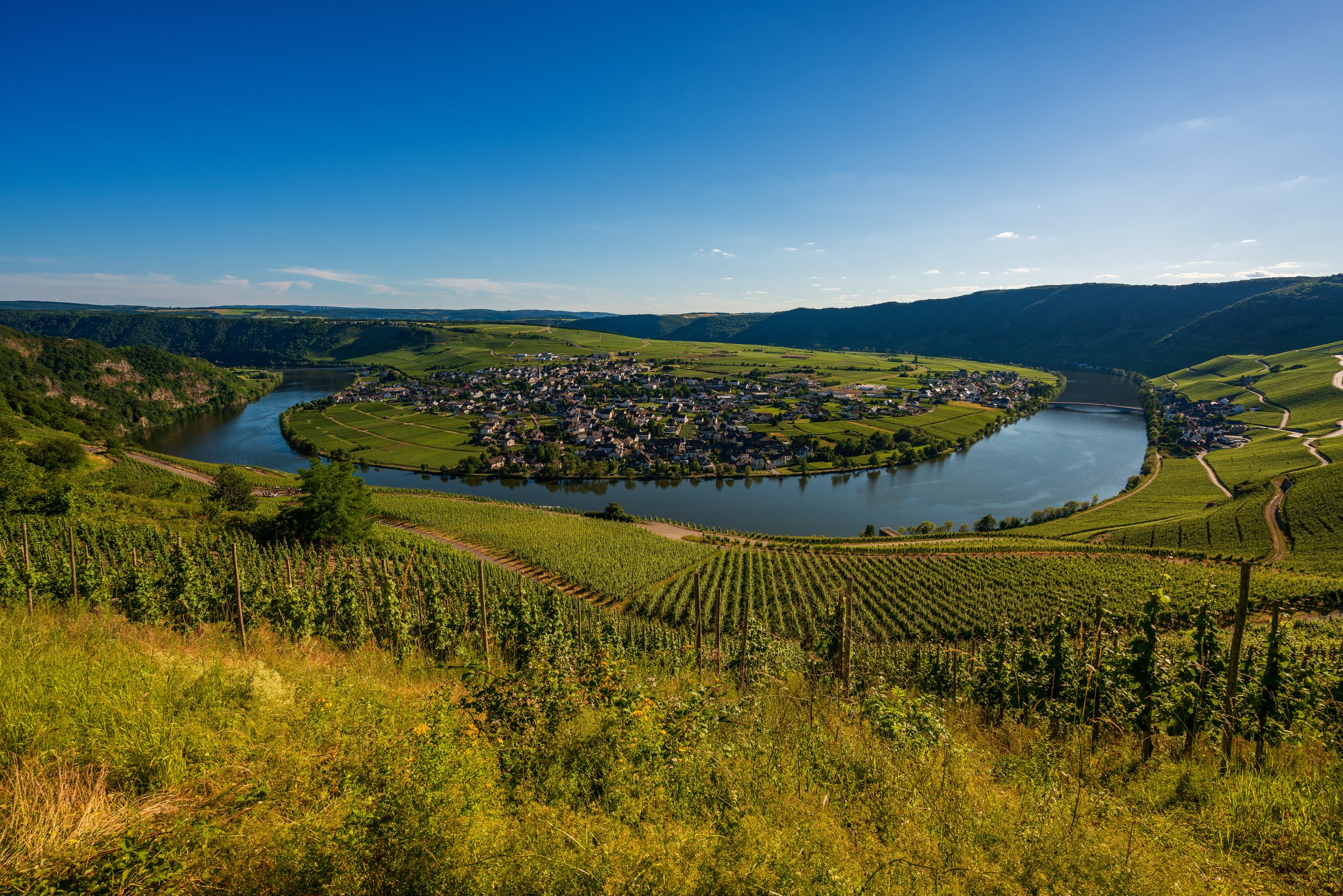 The Moselle river loop and vineyards in spring, Germany