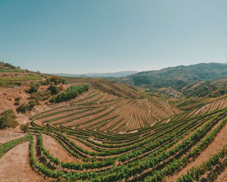 Terraced vineyards in the Douro Valley, Portugal