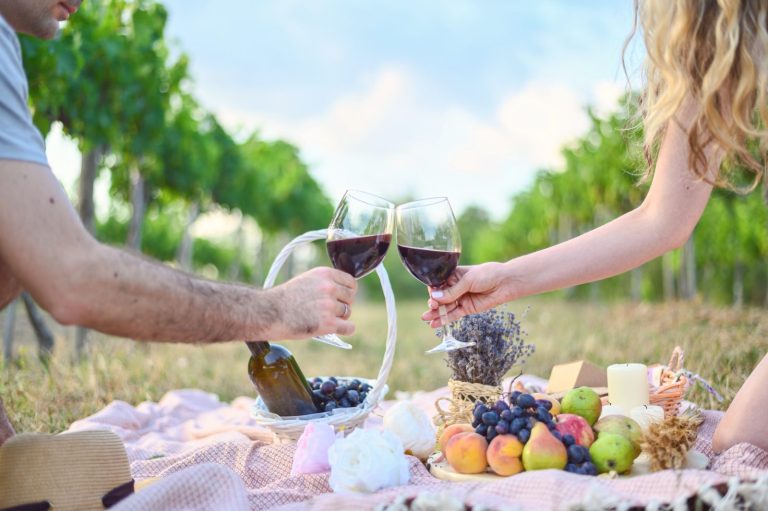 A wine toast in the vineyards