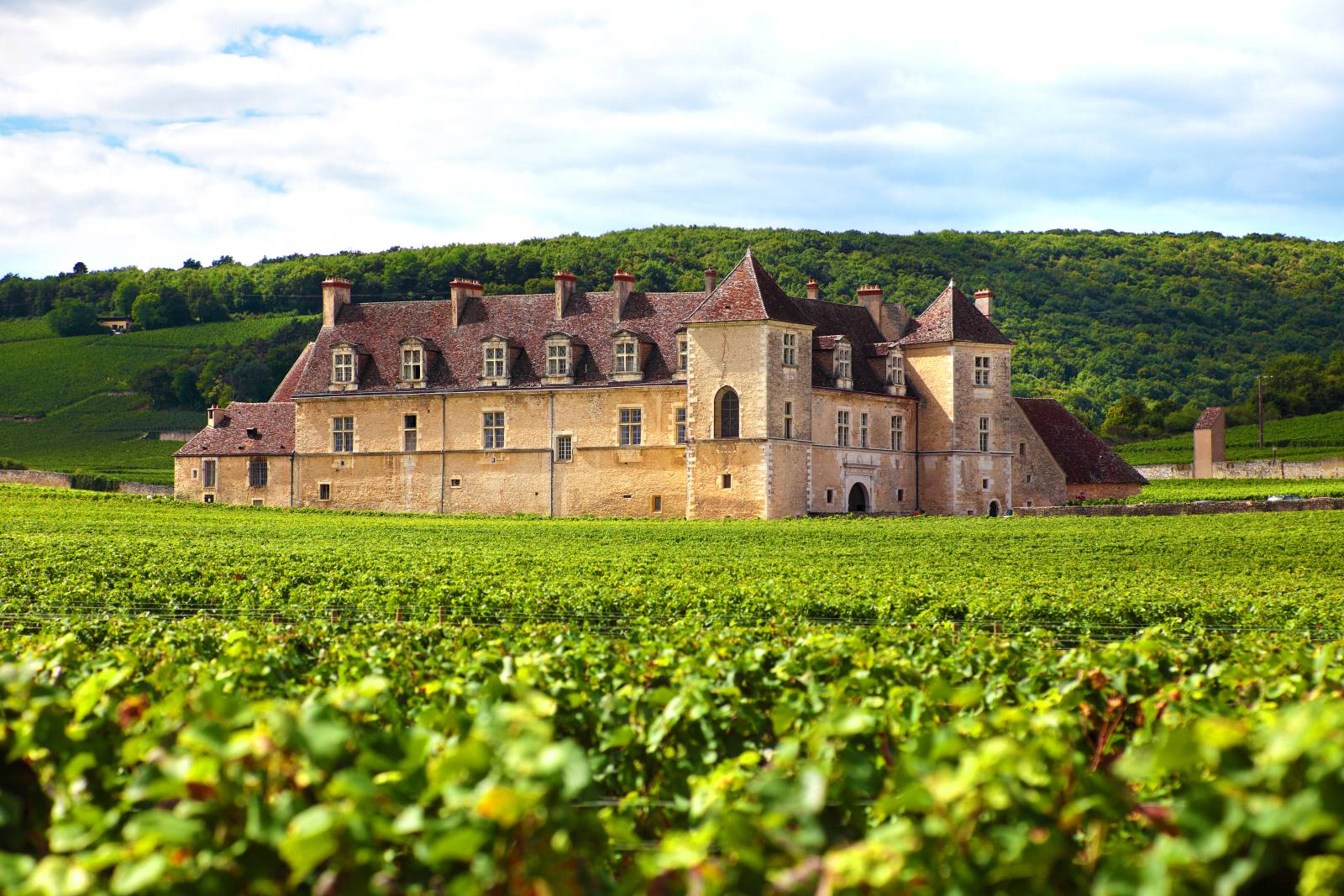 A French château among the vineyards