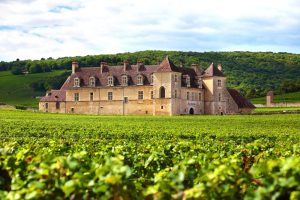 A chateau among vineyards in the Bordeaux wine country