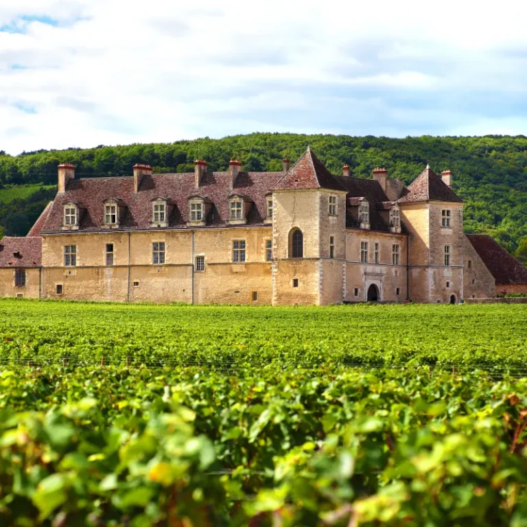 Stone château surrounded by vineyards in Burgundy, France