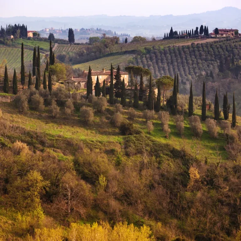Tuscan hills with cypress trees, villa and vineyards near Siena