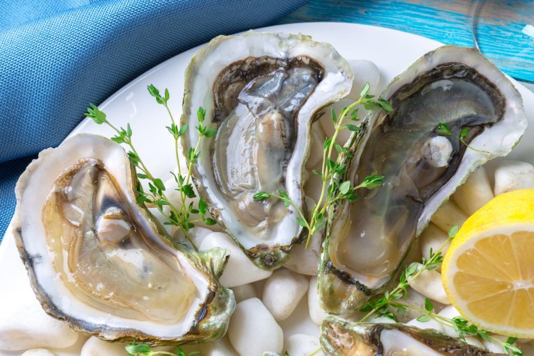 Fresh oysters with lemon, Ston
