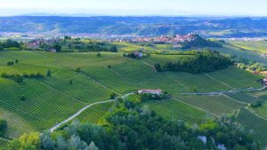 Rolling vineyard hills and a hilltop village