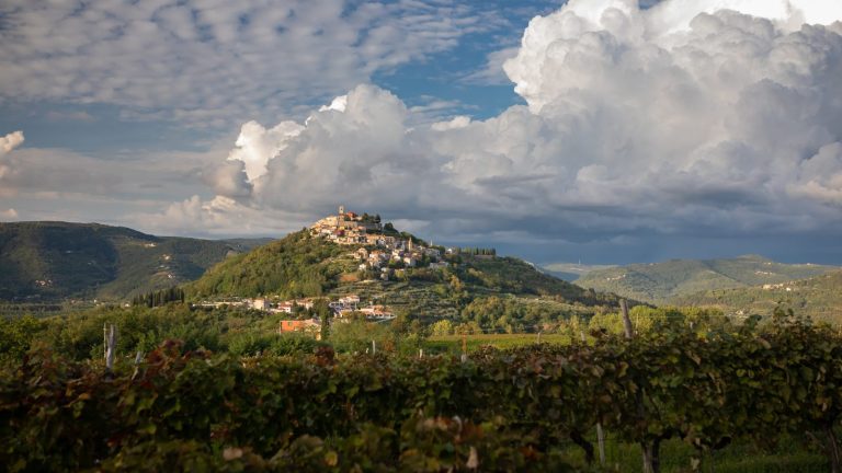 Autumn vineyards below Motovun, Istria