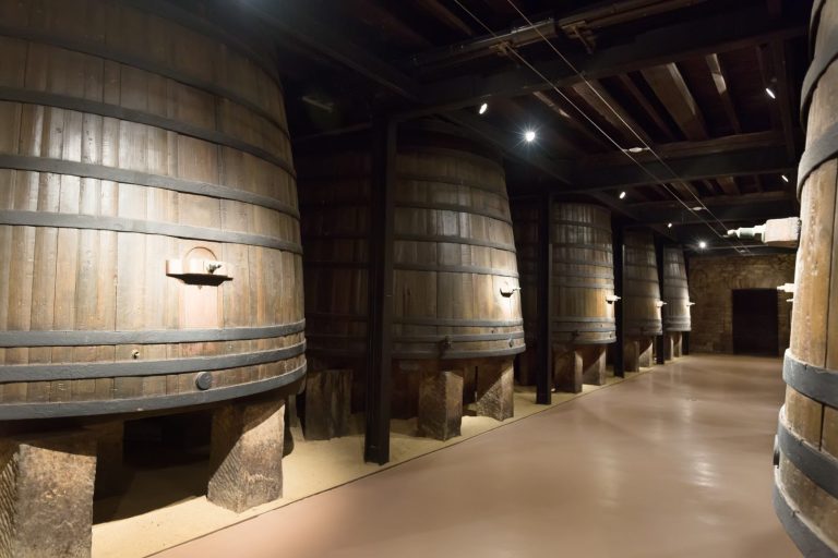 Barrels in an old bodega, Jerez