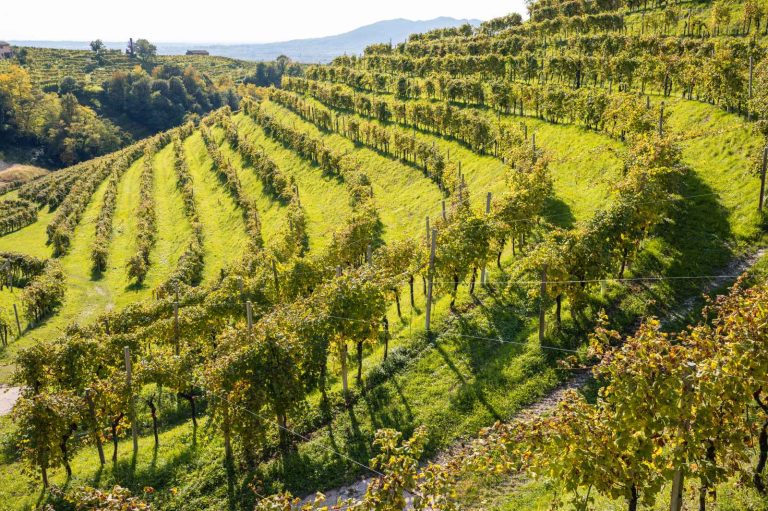 Valdobbiadene hills and vineyards along the Prosecco road