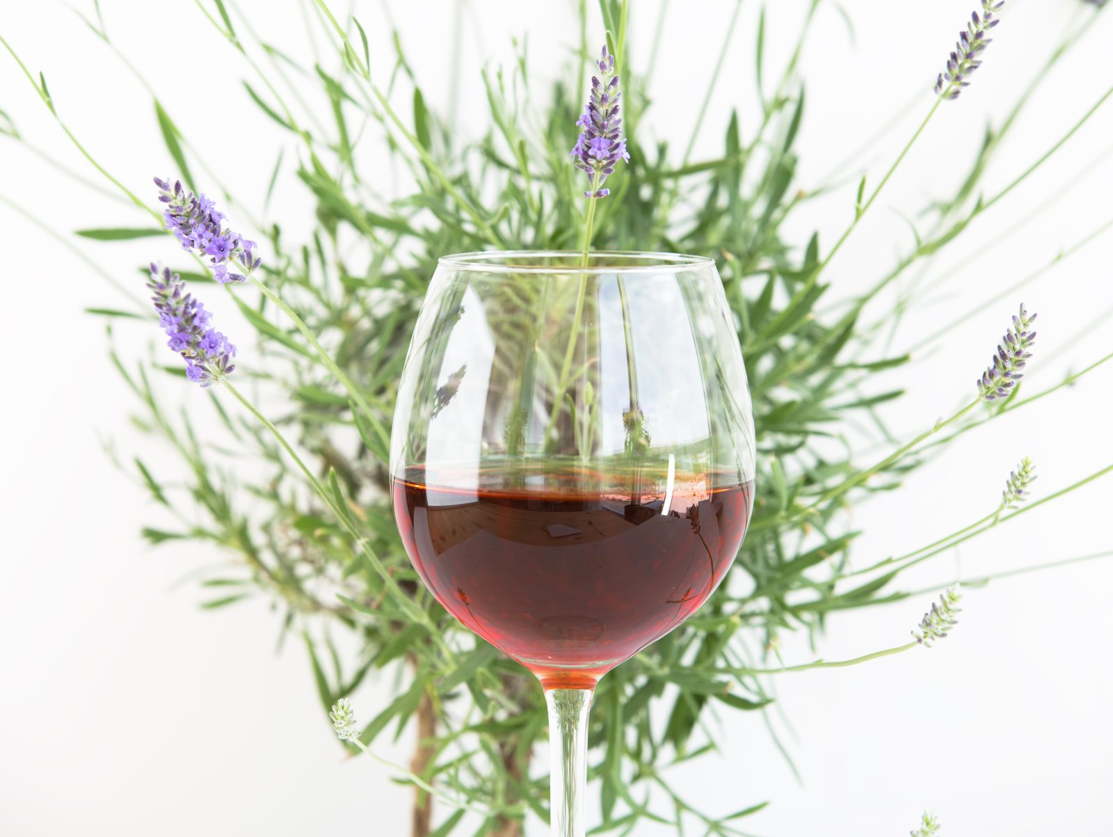 A glass of wine beside lavender, Provence