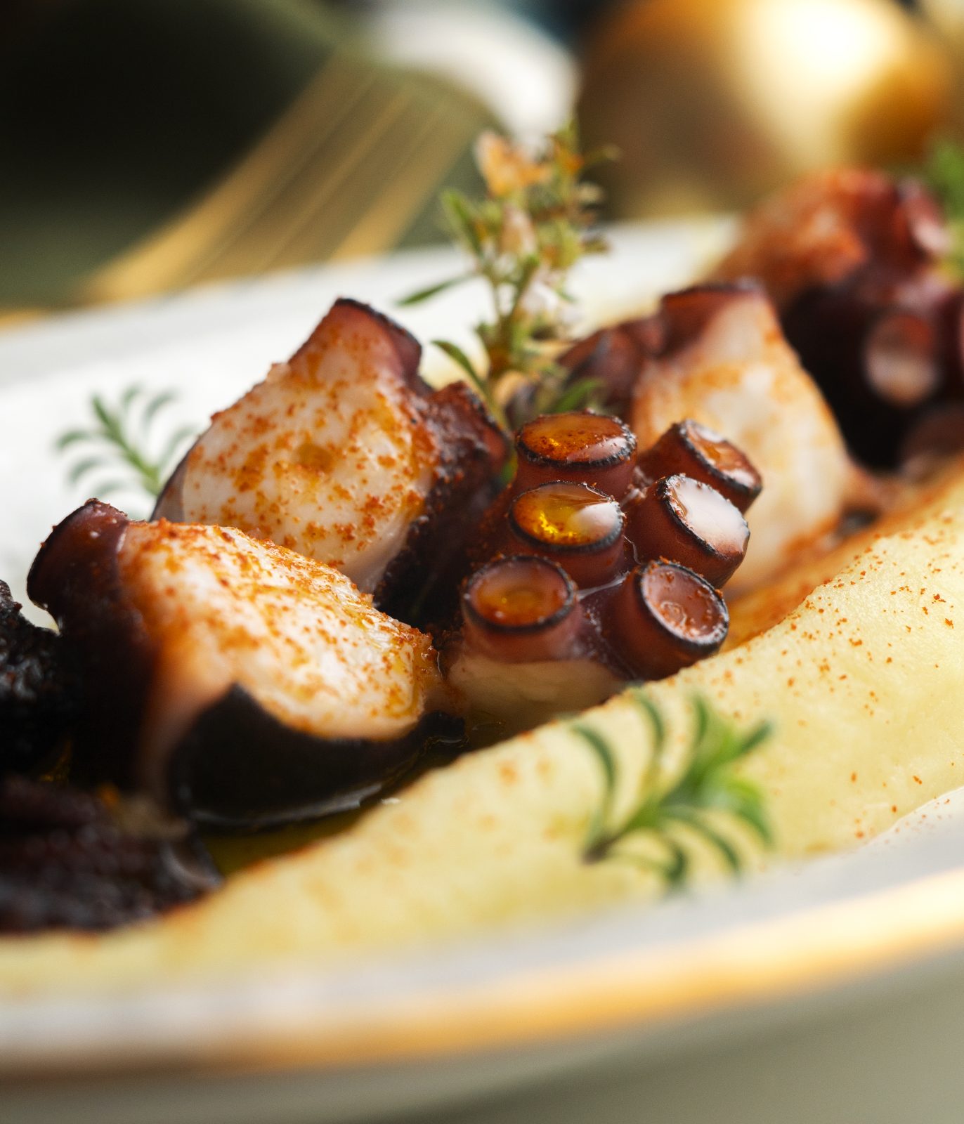 Pulpo a la gallega with paprika, Santiago de Compostela