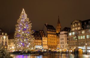 The great Christmas tree on Place Kléber in Strasbourg