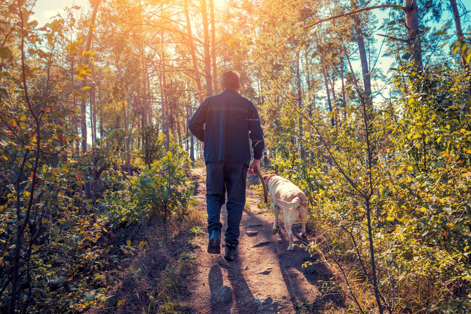 Truffle hunter with his dog in an autumn forest