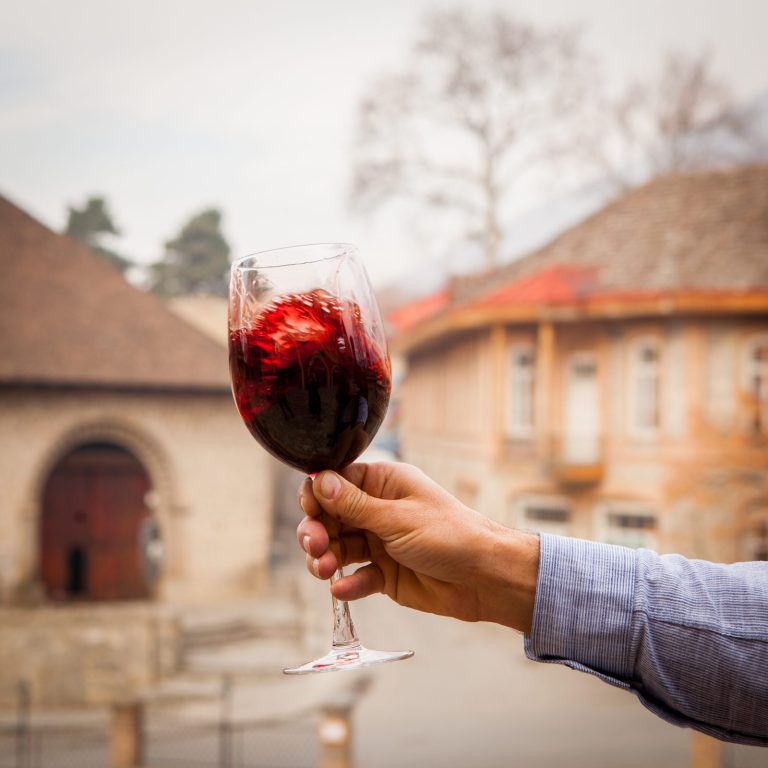 A glass of Valpolicella red wine, Verona
