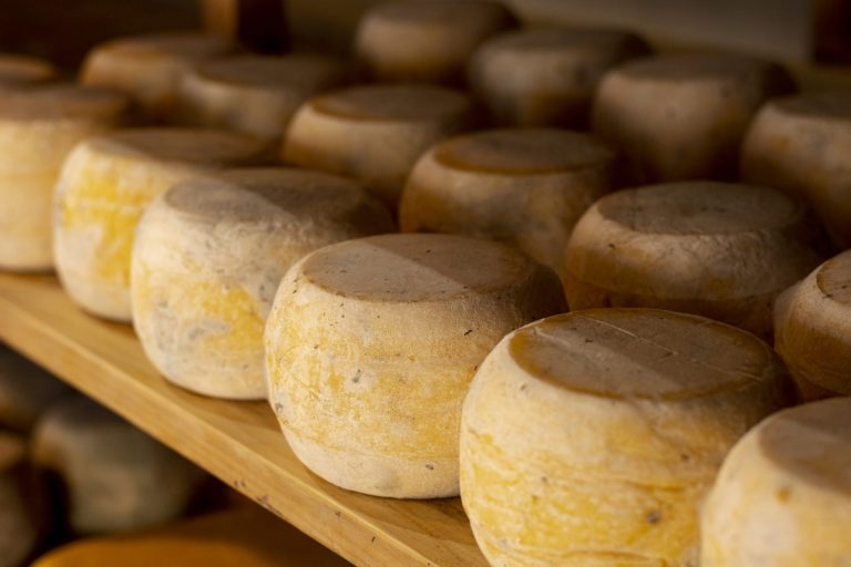 Aged cheese wheels on shelves