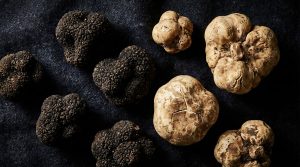White and black truffles side by side
